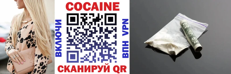COCAIN Fish Scale  как найти   Бирюсинск 