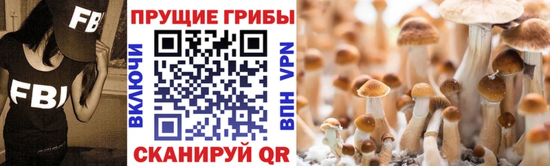 Псилоцибиновые грибы прущие грибы Бирюсинск